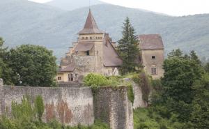 Stari grad Ostrožac "digli iz mrtvih": Sve češća vjenčanja na utvrdi