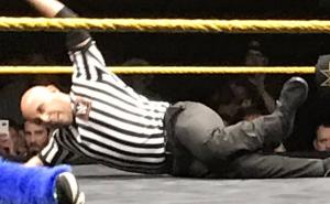Tokom borbe u ringu sudiji "pukla" noga - on završio meč 