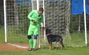 Hrvatska: Golman u Dalmaciji hranio je psa - usred utakmice