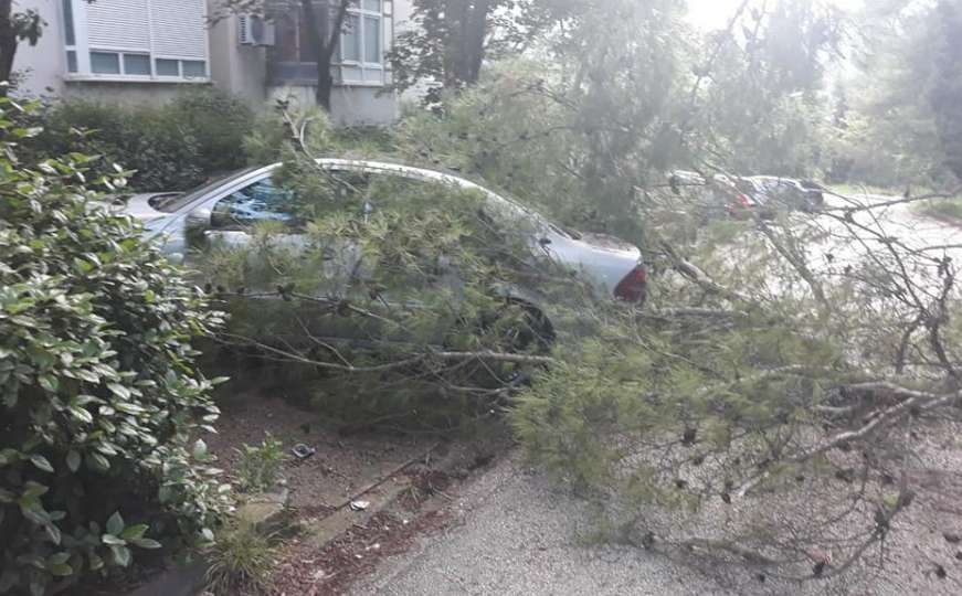 Jaka bura u Mostaru lomila stabla, oštećeno nekoliko automobila