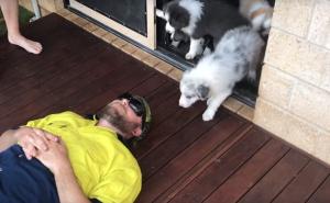 Preslatko: 15 psića napalo je jednog čovjeka