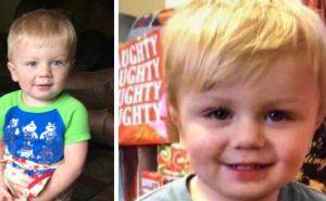 Tri dana bez hrane, vode, odjeće: 22-mjesečni dječak u šumi punoj medvjeda i kojota