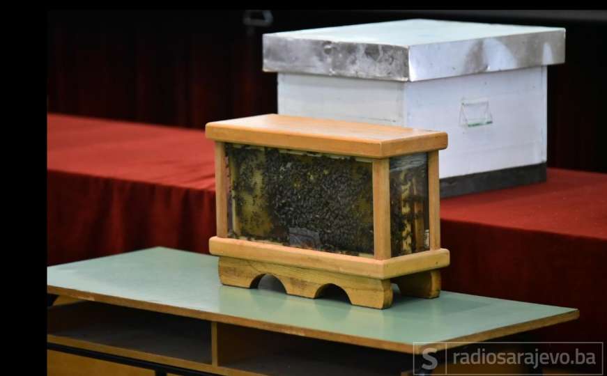Pčele globalno ugrožene: Postoji inicijativa da se zaštite u BiH