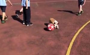 Pogledajte fudbalsko umijeće psa Messija