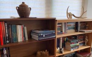 Priča iz SAD-a: Bh. dijaspora čuva bosanski jezik i kulturu