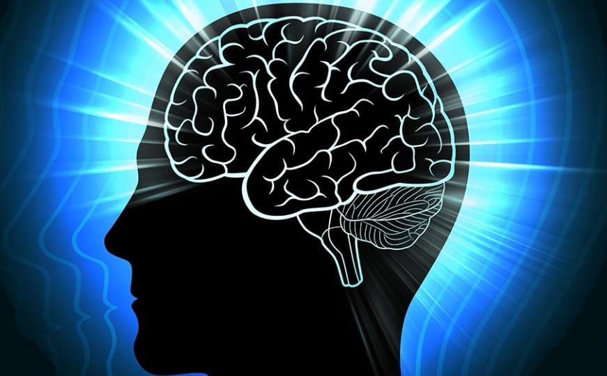 Šta se dešava sa vašim mozgom ako svaki dan kukate?