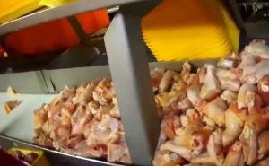 Pogledajte kako se piletina obrađuje u američkim fabrikama 
