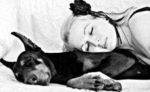 Žene bolje spavaju uz svog psa nego uz muža