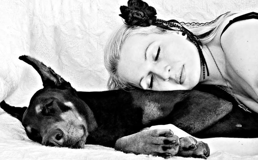Žene bolje spavaju uz svog psa nego uz muža