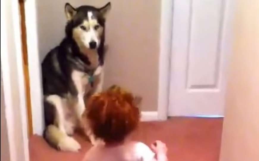 Djevojčica se preplašila usisivača pa otrčala do svog psa da je zaštiti