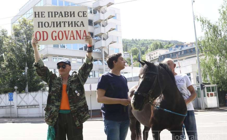 Aktivisti ispred OHR-a potkovali konja Milana 