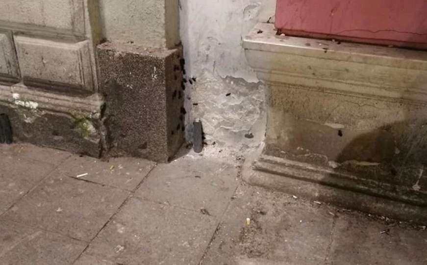 Iz Vodovoda tvrde: Nije povećan broj žohara i miševa u Sarajevu