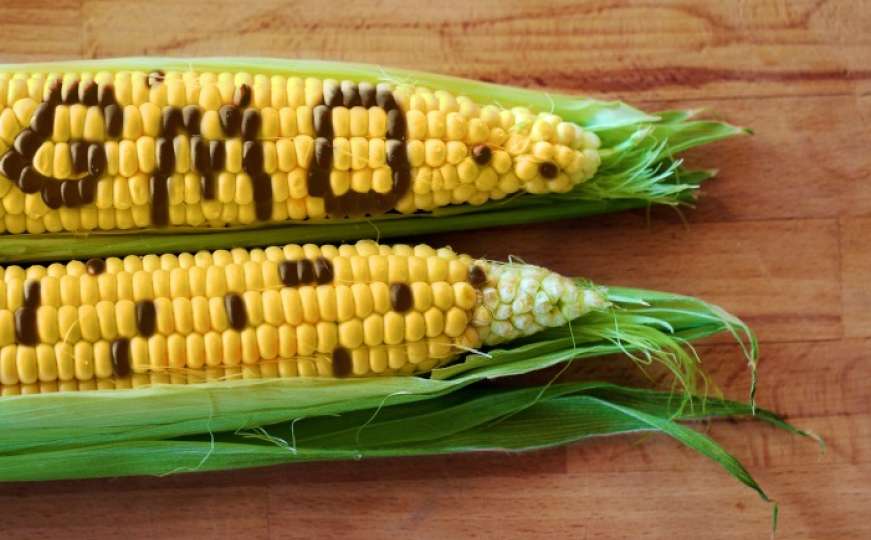 GMO ili bez: Nauka nije dokazala štetnost, ali izbor je za građanima