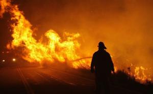 Izbio požar u skladištu konjaka