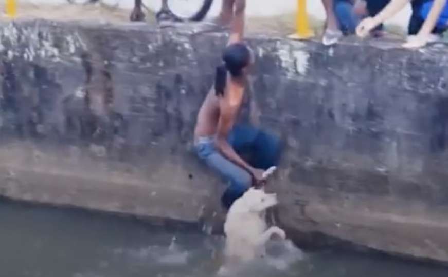 Hrabri dječak je spasio psa koji se skoro utopio u kanalu