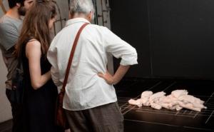 Izložba "Razbuktali svijet" od 19. juna do 29. septembra u Beču 