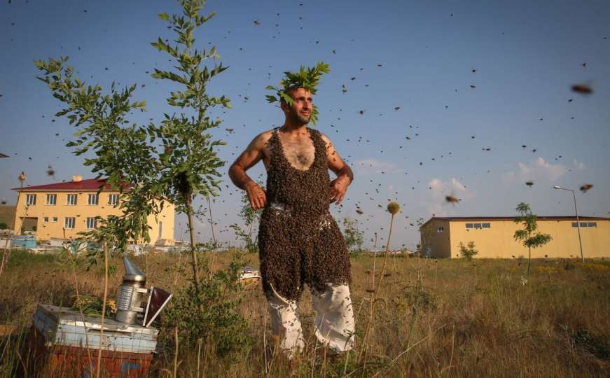 „Čovjek pčela“ želi ući u Guinnessovu knjigu rekorda