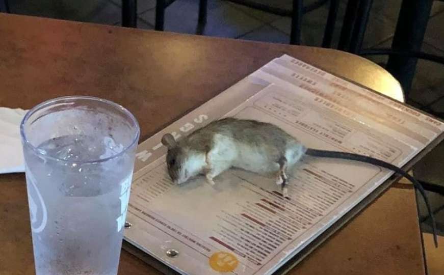 Dok je gledala utakmicu u restoranu, na sto ispred nje pao štakor