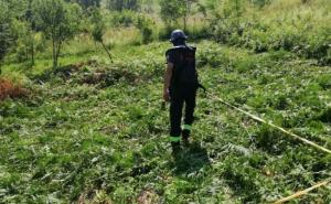 FUCZ u Sarajevu očistila od mina 15.000 kvadratnih metara površine