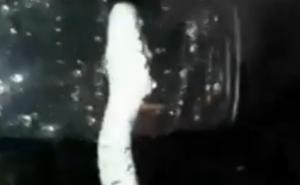 Zmija im u vožnji gmiže po automobilu: Slikaj da objavimo na Instagram!