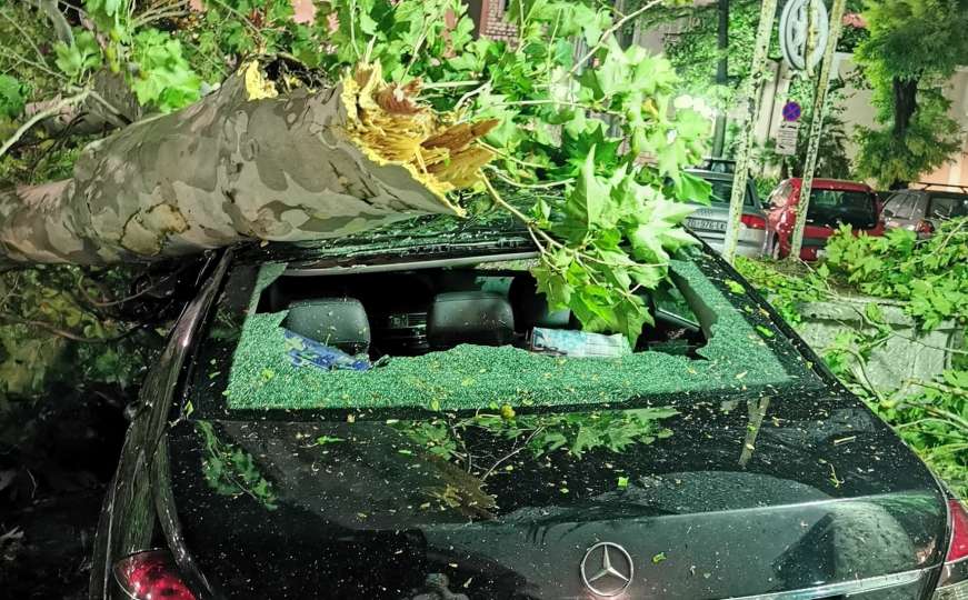 Velike štete: Olujno nevrijeme u Hrvatskoj rušilo drveće, stradali automobili