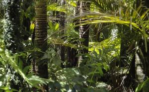 Psiho test koji otkriva sve o vama i vašoj ličnosti