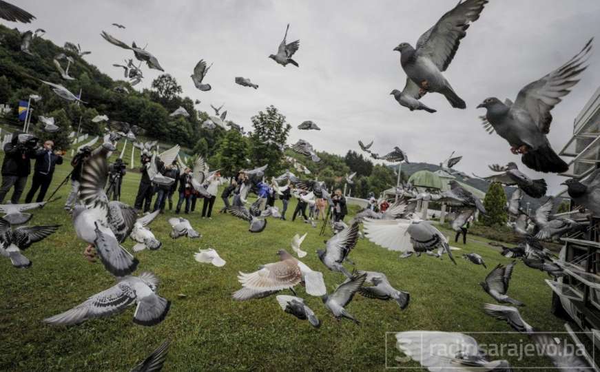 Stotine golubova pušteno u zrak u Memorijalnom centru u Potočarima