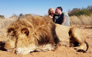 Bračni par ubio lava, a zatim se fotografisao sjedeći pored njega