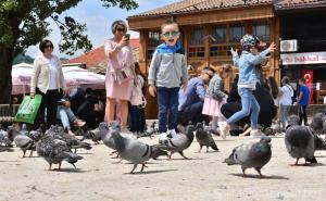 Jutros na Bjelašnici 5 stepeni: Objavljena prognoza do subote