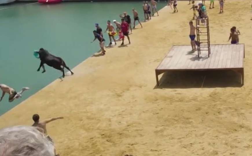 Španci i njihove koride: Trčite ispred bika i zatim uskočite u vodu!