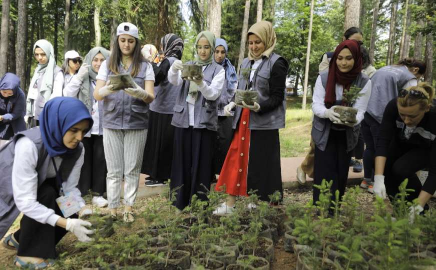 Sarajevo: 251 stablo u znak sjećanja na šehide poginule u pokušaju puča u Turskoj
