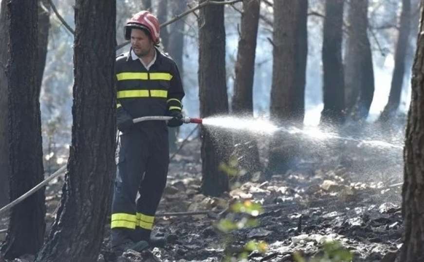 Gradonačelnik Novalje kaže da je požar na Zrću podmetnut