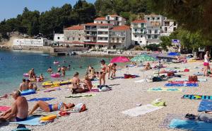 Nagazio na otrovnu ribu: Posljednji dan ljetovanja malog Milana pretvorio se u pakao