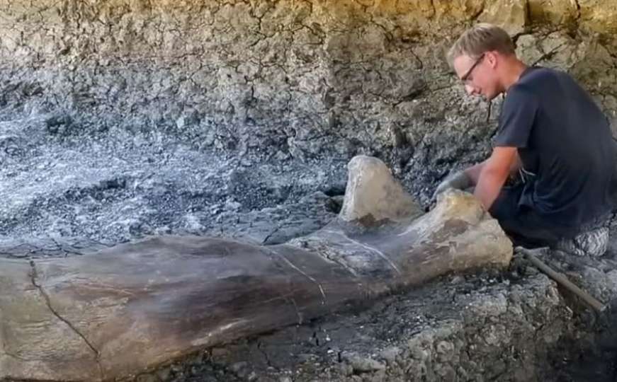Paleontolozi pronašli divovsku bedrenu kost dinosaura