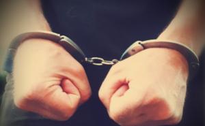 Policija osujetila hollywoodski plan krimi-grupe u kojoj je bila i državljanka BiH