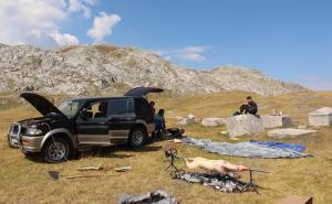 Sramota, bruka, užas: Okrenuli janje kraj stećaka na Visočici