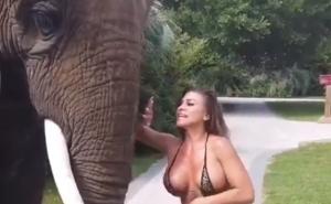 Manekenka u kupaćem htjela pozirati sa slonom: Ovo nije očekivala
