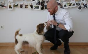 Ambasador Matthew Field posjetio predstavništvo Fondacije Dogs Trust u BiH