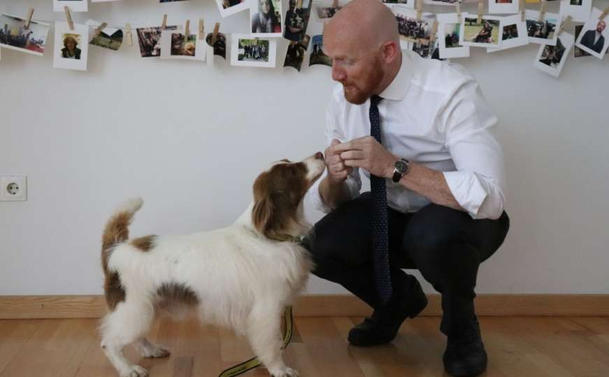 Ambasador Matthew Field posjetio predstavništvo Fondacije Dogs Trust u BiH