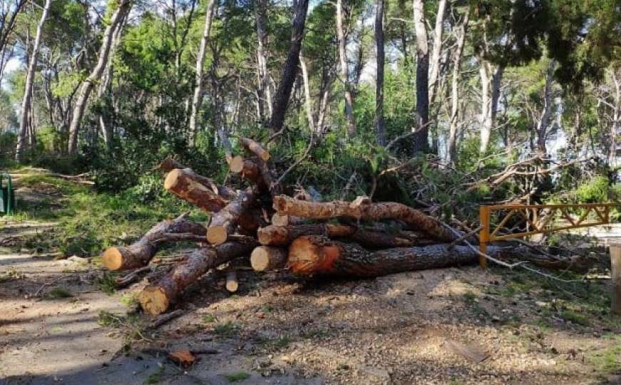 Prijedorčanin poginuo prilikom sječe šume u Banjoj Luci 