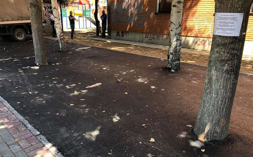 U Srbiji asfaltirali drveće: "Postali smo šampioni, što je nenormalno, normalno je"