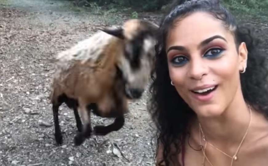 Htjela je da napravi selfie sa kozom, ali nije sve prošlo kako je zamislila