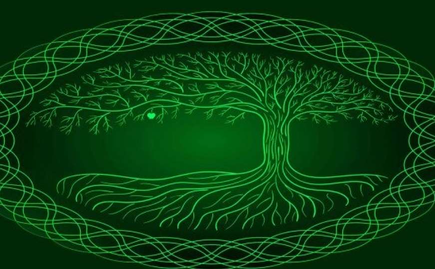 Keltski horoskop: Pronađite svoje drvo i saznajte šta govori o vama