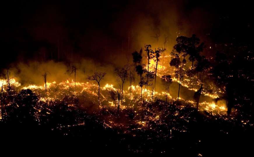 Činjenice o požaru u Amazonu zbog kojih moramo biti zabrinuti 