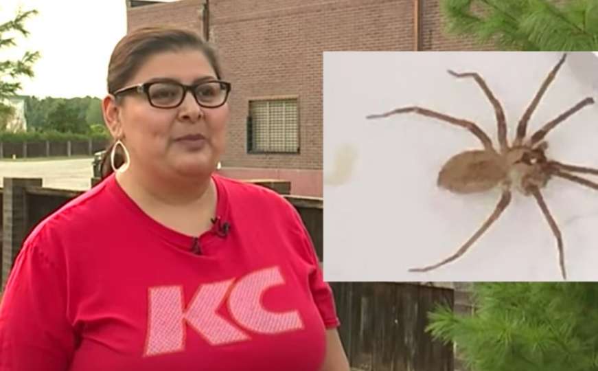 Ljekari u šoku trčali po pomoć: Ženi iz uha uzvadili otrovnog pauka