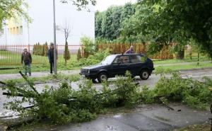 Na mlađu ženu pala grana drveta, hitno prevezena u bolnicu