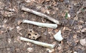 Ekshumacija u Turalićima: Pronađeni nekompletni posmrtni ostaci tri žrtve