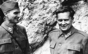 Dragan Bursać: Tipov Drvar