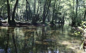 Ovogodišnje ljeto jedno od najtoplijih od početka mjerenja