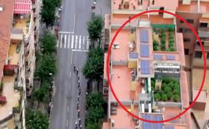 Kamera snimala biciklističku trku, pa slučajno otkrila i "biljke" na krovu zgrade